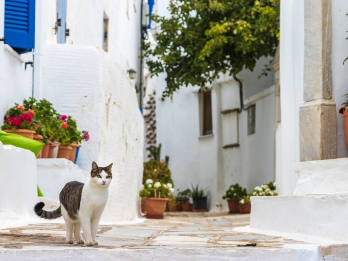 Naxos