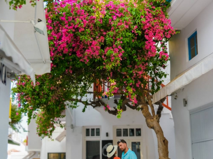 DMC Skiathos